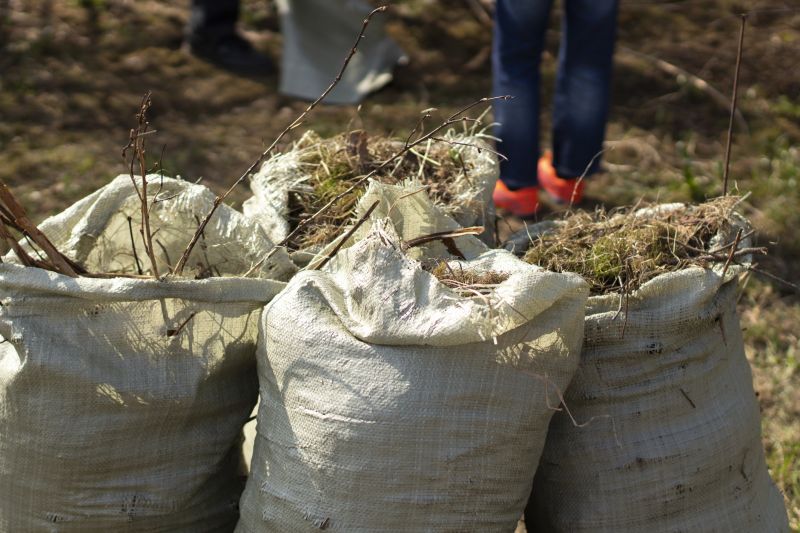Rubbish Removal in Chico, CA